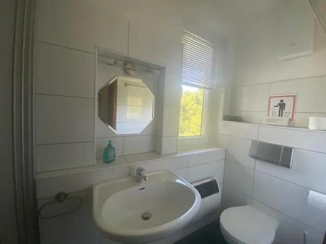 Ferienbutzen Harz Flieder